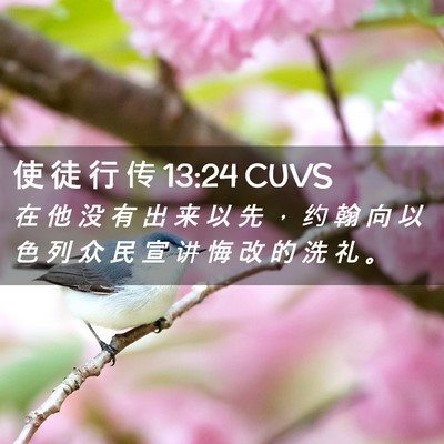Picture 02 - 使 徒 行 传 13:24 CUVS - 在 他 没 有 出 来 以 先 ， 约 翰 向 - Bible Verse Picture