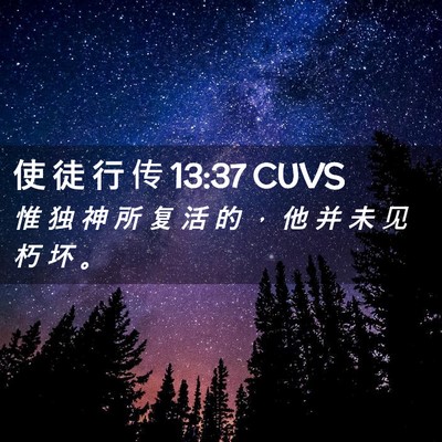 Picture 02 - 使 徒 行 传 13:37 CUVS - 惟 独 神 所 复 活 的 ， 他 并 未 见 - Bible Verse Picture