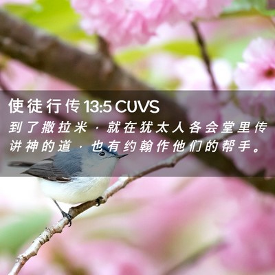 Picture 02 - 使 徒 行 传 13:5 CUVS - 到 了 撒 拉 米 ， 就 在 犹 太 人 各 - Bible Verse Picture