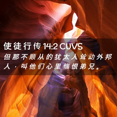 Picture 02 - 使 徒 行 传 14:2 CUVS - 但 那 不 顺 从 的 犹 太 人 耸 动 外 - Bible Verse Picture