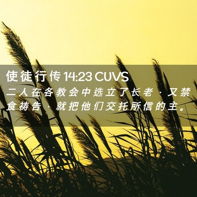 Picture 02 - 使 徒 行 传 14:23 CUVS - 二 人 在 各 教 会 中 选 立 了 长 老 - Bible Verse Picture