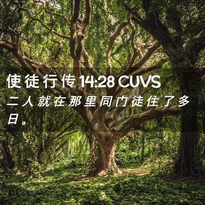 Picture 02 - 使 徒 行 传 14:28 CUVS - 二 人 就 在 那 里 同 门 徒 住 了 多 - Bible Verse Picture
