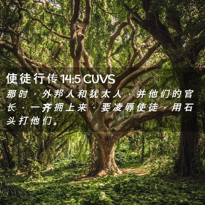 Picture 02 - 使 徒 行 传 14:5 CUVS - 那 时 ， 外 邦 人 和 犹 太 人 ， 并 - Bible Verse Picture