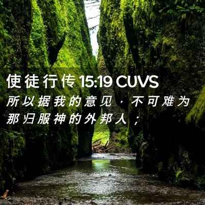Picture 02 - 使 徒 行 传 15:19 CUVS - 所 以 据 我 的 意 见 ， 不 可 难 为 - Bible Verse Picture