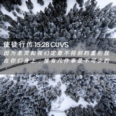 Picture 02 - 使 徒 行 传 15:28 CUVS - 因 为 圣 灵 和 我 们 定 意 不 将 别 - Bible Verse Picture