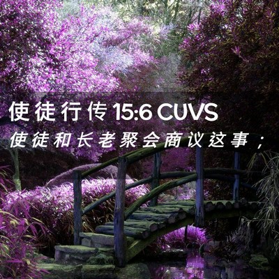 Picture 02 - 使 徒 行 传 15:6 CUVS - 使 徒 和 长 老 聚 会 商 议 这 事 - Bible Verse Picture