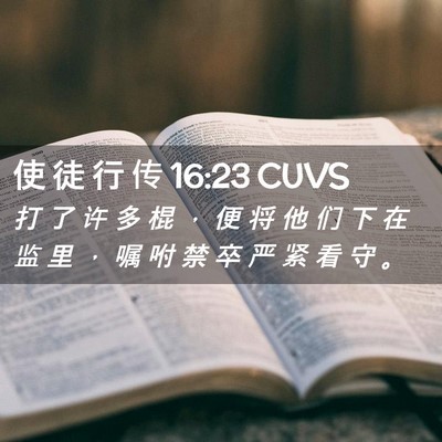 Picture 02 - 使 徒 行 传 16:23 CUVS - 打 了 许 多 棍 ， 便 将 他 们 下 在 - Bible Verse Picture