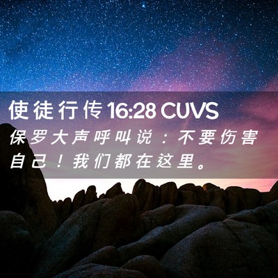 Picture 02 - 使 徒 行 传 16:28 CUVS - 保 罗 大 声 呼 叫 说 ： 不 要 伤 害 - Bible Verse Picture