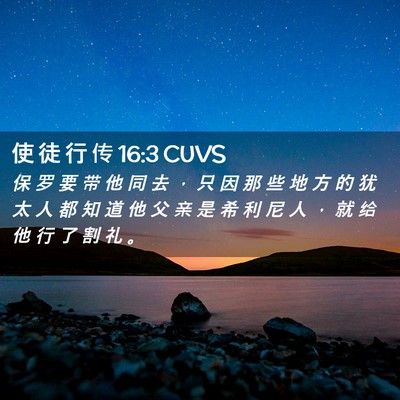 Picture 02 - 使 徒 行 传 16:3 CUVS - 保 罗 要 带 他 同 去 ， 只 因 那 些 - Bible Verse Picture