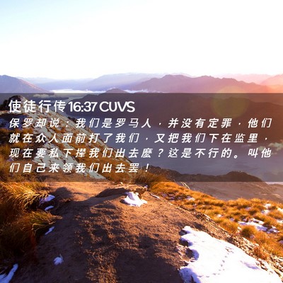 Picture 02 - 使 徒 行 传 16:37 CUVS - 保 罗 却 说 ： 我 们 是 罗 马 人 ， - Bible Verse Picture