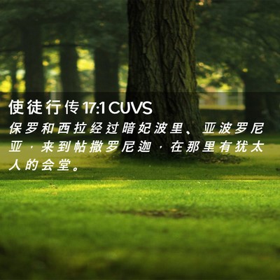 Picture 02 - 使 徒 行 传 17:1 CUVS - 保 罗 和 西 拉 经 过 暗 妃 波 里 、 - Bible Verse Picture
