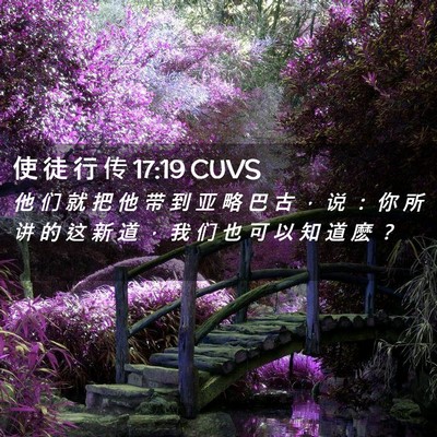 Picture 02 - 使 徒 行 传 17:19 CUVS - 他 们 就 把 他 带 到 亚 略 巴 古 ， - Bible Verse Picture