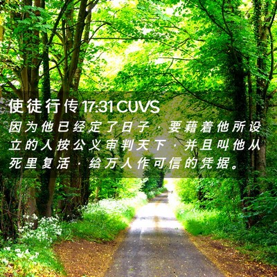 Picture 02 - 使 徒 行 传 17:31 CUVS - 因 为 他 已 经 定 了 日 子 ， 要 藉 - Bible Verse Picture