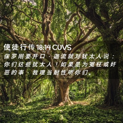 Picture 02 - 使 徒 行 传 18:14 CUVS - 保 罗 刚 要 开 口 ， 迦 流 就 对 犹 - Bible Verse Picture