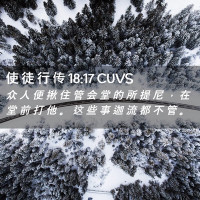 Picture 02 - 使 徒 行 传 18:17 CUVS - 众 人 便 揪 住 管 会 堂 的 所 提 尼 - Bible Verse Picture