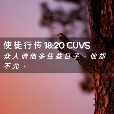 Picture 02 - 使 徒 行 传 18:20 CUVS - 众 人 请 他 多 住 些 日 子 ， 他 却 - Bible Verse Picture