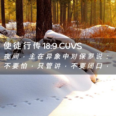 Picture 02 - 使 徒 行 传 18:9 CUVS - 夜 间 ， 主 在 异 象 中 对 保 罗 说 - Bible Verse Picture