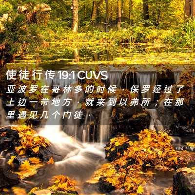 Picture 02 - 使 徒 行 传 19:1 CUVS - 亚 波 罗 在 哥 林 多 的 时 候 ， 保 - Bible Verse Picture