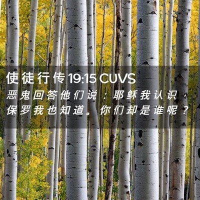 Picture 02 - 使 徒 行 传 19:15 CUVS - 恶 鬼 回 答 他 们 说 ： 耶 稣 我 认 - Bible Verse Picture