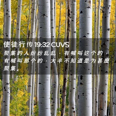 Picture 02 - 使 徒 行 传 19:32 CUVS - 聚 集 的 人 纷 纷 乱 乱 ， 有 喊 叫 - Bible Verse Picture