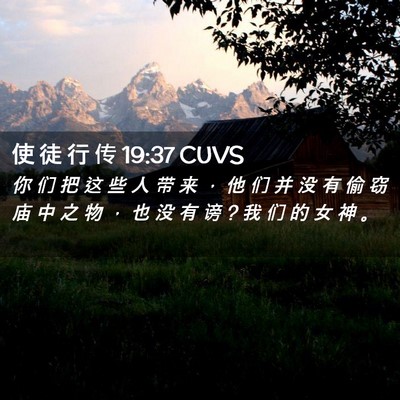Picture 02 - 使 徒 行 传 19:37 CUVS - 你 们 把 这 些 人 带 来 ， 他 们 并 - Bible Verse Picture