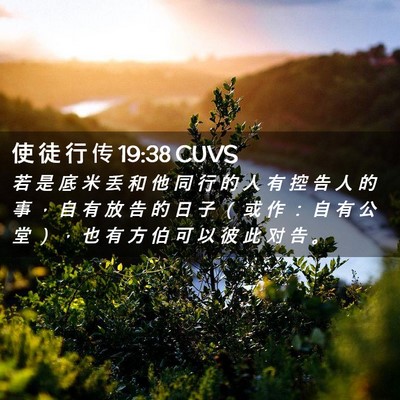 Picture 02 - 使 徒 行 传 19:38 CUVS - 若 是 底 米 丢 和 他 同 行 的 人 有 - Bible Verse Picture