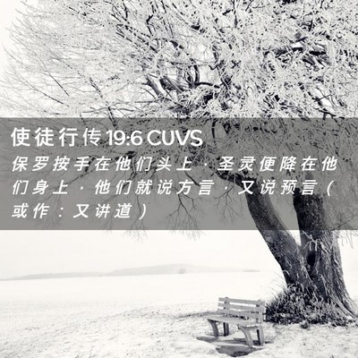 Picture 02 - 使 徒 行 传 19:6 CUVS - 保 罗 按 手 在 他 们 头 上 ， 圣 灵 - Bible Verse Picture