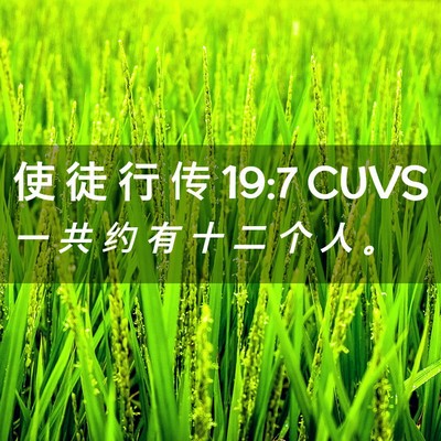Picture 02 - 使 徒 行 传 19:7 CUVS - 一 共 约 有 十 二 个 人 - Bible Verse Picture