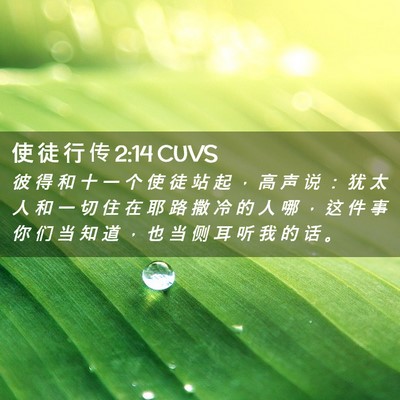 Picture 02 - 使 徒 行 传 2:14 CUVS - 彼 得 和 十 一 个 使 徒 站 起 ， 高 - Bible Verse Picture