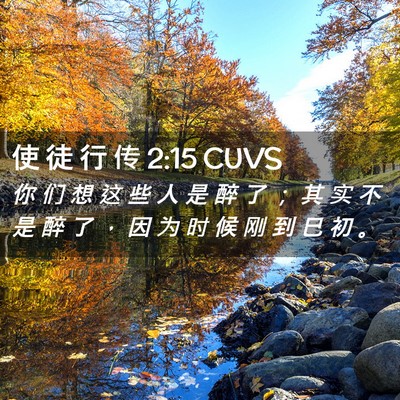 Picture 02 - 使 徒 行 传 2:15 CUVS - 你 们 想 这 些 人 是 醉 了 ； 其 实 - Bible Verse Picture