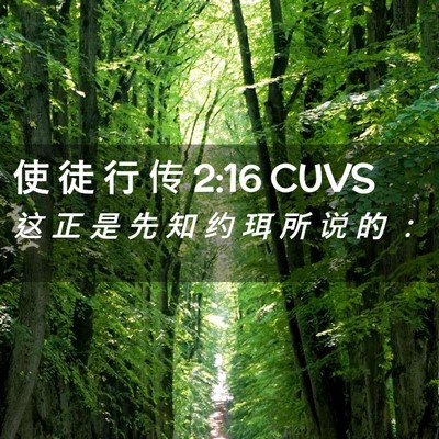 Picture 02 - 使 徒 行 传 2:16 CUVS - 这 正 是 先 知 约 珥 所 说 的 - Bible Verse Picture