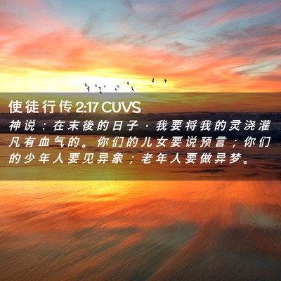 Picture 02 - 使 徒 行 传 2:17 CUVS - 神 说 ： 在 末 後 的 日 子 ， 我 要 - Bible Verse Picture
