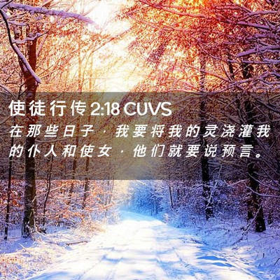 Picture 02 - 使 徒 行 传 2:18 CUVS - 在 那 些 日 子 ， 我 要 将 我 的 灵 - Bible Verse Picture