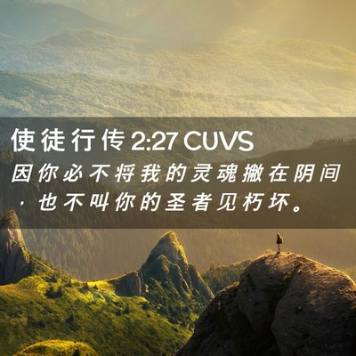 Picture 02 - 使 徒 行 传 2:27 CUVS - 因 你 必 不 将 我 的 灵 魂 撇 在 阴 - Bible Verse Picture