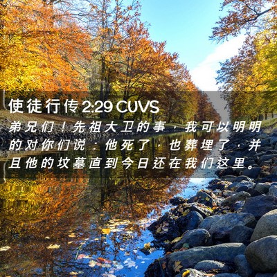 Picture 02 - 使 徒 行 传 2:29 CUVS - 弟 兄 们 ！ 先 祖 大 卫 的 事 ， 我 - Bible Verse Picture
