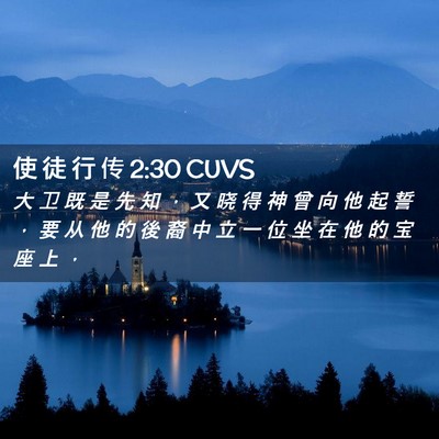 Picture 02 - 使 徒 行 传 2:30 CUVS - 大 卫 既 是 先 知 ， 又 晓 得 神 曾 - Bible Verse Picture