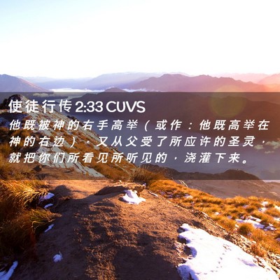 Picture 02 - 使 徒 行 传 2:33 CUVS - 他 既 被 神 的 右 手 高 举 （ 或 作 - Bible Verse Picture