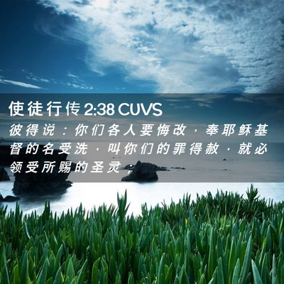 Picture 02 - 使 徒 行 传 2:38 CUVS - 彼 得 说 ： 你 们 各 人 要 悔 改 ， - Bible Verse Picture