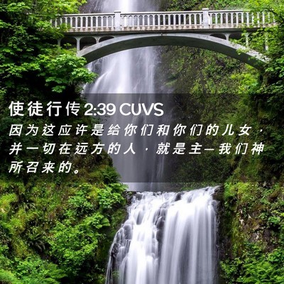 Picture 02 - 使 徒 行 传 2:39 CUVS - 因 为 这 应 许 是 给 你 们 和 你 们 - Bible Verse Picture