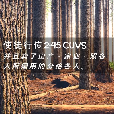 Picture 02 - 使 徒 行 传 2:45 CUVS - 并 且 卖 了 田 产 ， 家 业 ， 照 各 - Bible Verse Picture