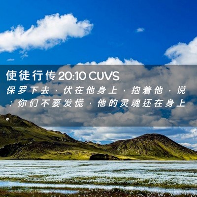 Picture 02 - 使 徒 行 传 20:10 CUVS - 保 罗 下 去 ， 伏 在 他 身 上 ， 抱 - Bible Verse Picture