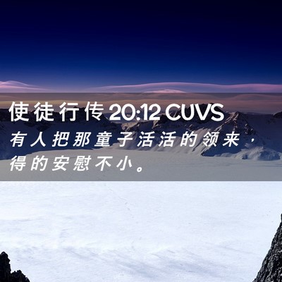Picture 02 - 使 徒 行 传 20:12 CUVS - 有 人 把 那 童 子 活 活 的 领 来 ， - Bible Verse Picture