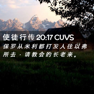Picture 02 - 使 徒 行 传 20:17 CUVS - 保 罗 从 米 利 都 打 发 人 往 以 弗 - Bible Verse Picture