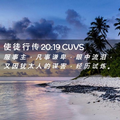 Picture 02 - 使 徒 行 传 20:19 CUVS - 服 事 主 ， 凡 事 谦 卑 ， 眼 中 流 - Bible Verse Picture
