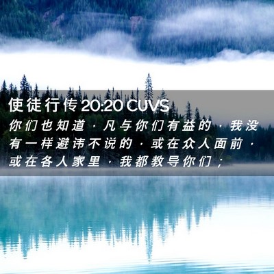 Picture 02 - 使 徒 行 传 20:20 CUVS - 你 们 也 知 道 ， 凡 与 你 们 有 益 - Bible Verse Picture