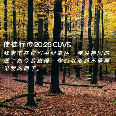 Picture 02 - 使 徒 行 传 20:25 CUVS - 我 素 常 在 你 们 中 间 来 往 ， 传 - Bible Verse Picture