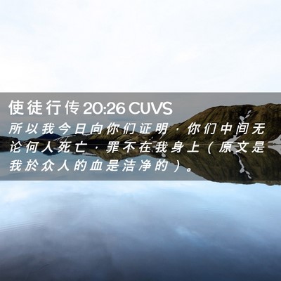Picture 02 - 使 徒 行 传 20:26 CUVS - 所 以 我 今 日 向 你 们 证 明 ， 你 - Bible Verse Picture