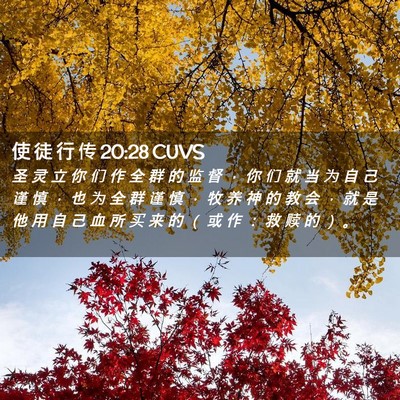 Picture 02 - 使 徒 行 传 20:28 CUVS - 圣 灵 立 你 们 作 全 群 的 监 督 ， - Bible Verse Picture