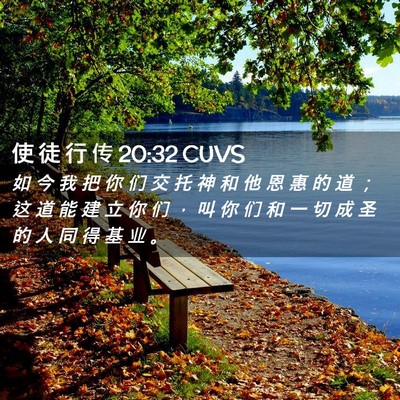Picture 02 - 使 徒 行 传 20:32 CUVS - 如 今 我 把 你 们 交 托 神 和 他 恩 - Bible Verse Picture