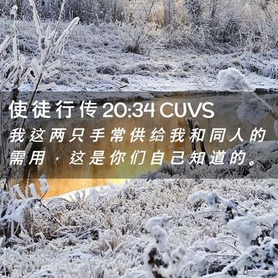 Picture 02 - 使 徒 行 传 20:34 CUVS - 我 这 两 只 手 常 供 给 我 和 同 人 - Bible Verse Picture